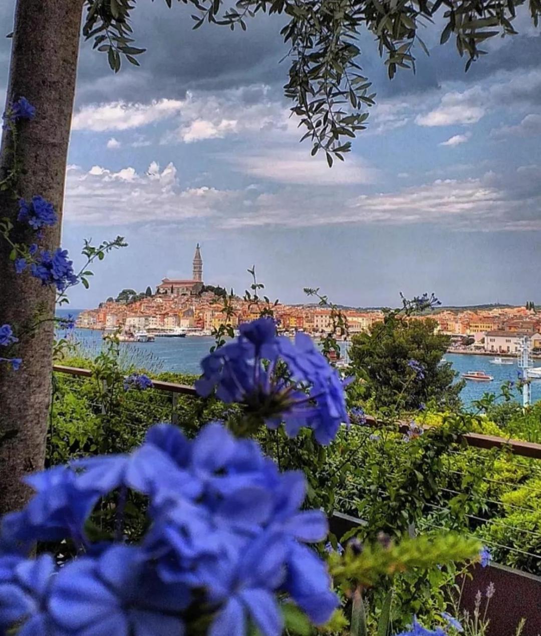 Apartments Mary & Free Parking Rovinj Phòng bức ảnh